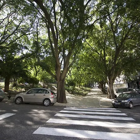 Apartamento Alcântara Studio 15